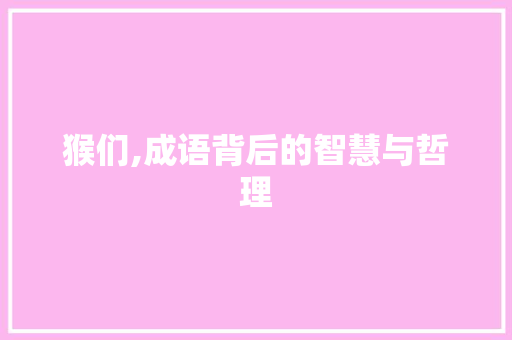 猴们,成语背后的智慧与哲理