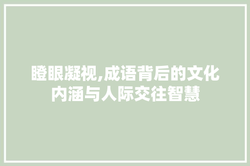 瞪眼凝视,成语背后的文化内涵与人际交往智慧