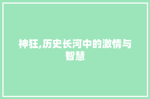 神狂,历史长河中的激情与智慧