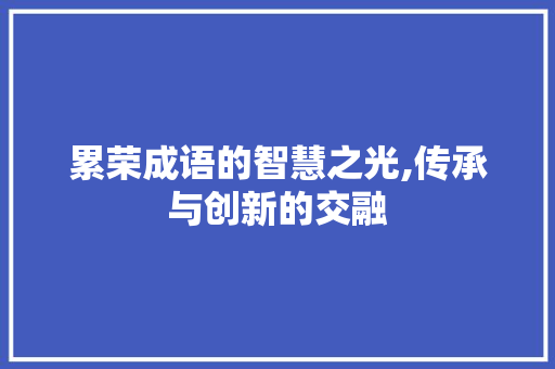 累荣成语的智慧之光,传承与创新的交融