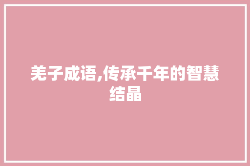 羌子成语,传承千年的智慧结晶