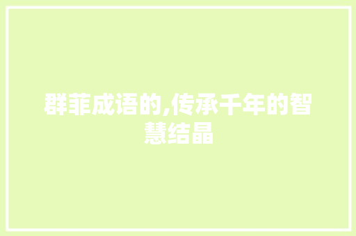 群菲成语的,传承千年的智慧结晶