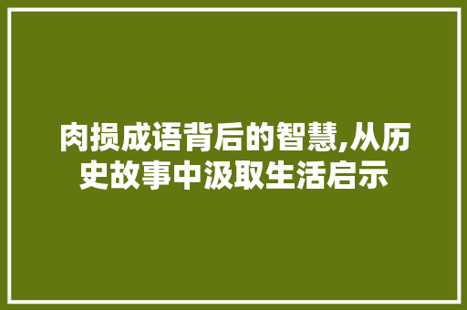 肉损成语背后的智慧,从历史故事中汲取生活启示