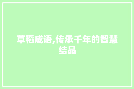 草稻成语,传承千年的智慧结晶