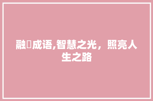 融旳成语,智慧之光，照亮人生之路