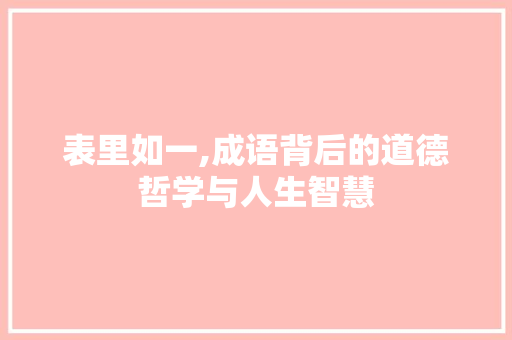 表里如一,成语背后的道德哲学与人生智慧