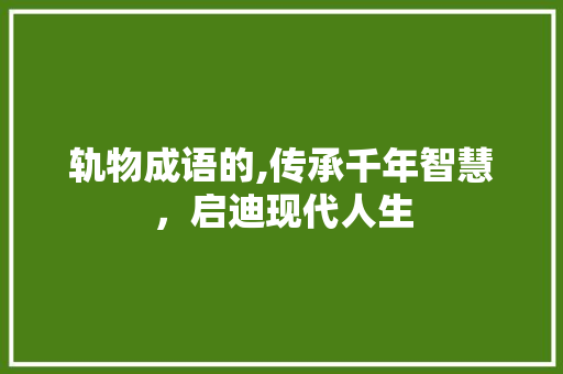 轨物成语的,传承千年智慧，启迪现代人生
