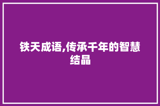 铁天成语,传承千年的智慧结晶