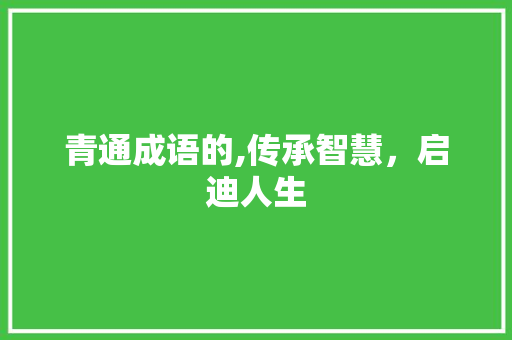 青通成语的,传承智慧，启迪人生