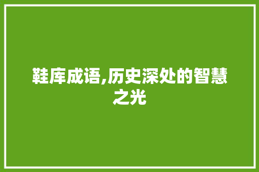 鞋库成语,历史深处的智慧之光