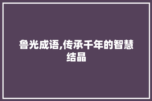 鲁光成语,传承千年的智慧结晶