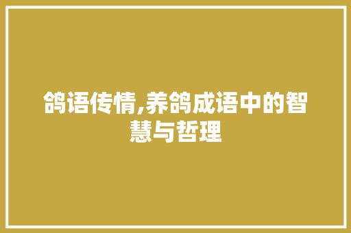 鸽语传情,养鸽成语中的智慧与哲理