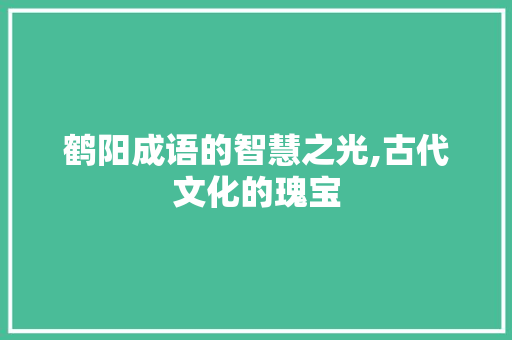 鹤阳成语的智慧之光,古代文化的瑰宝