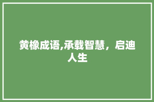 黄橡成语,承载智慧，启迪人生
