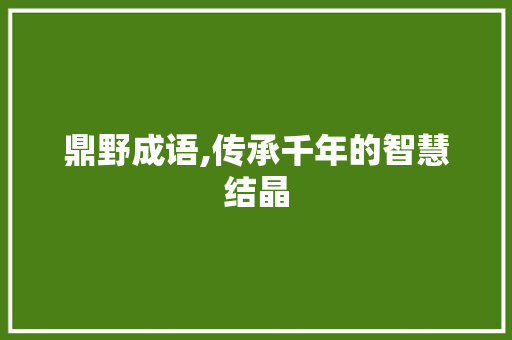 鼎野成语,传承千年的智慧结晶