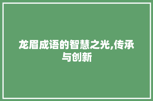 龙眉成语的智慧之光,传承与创新
