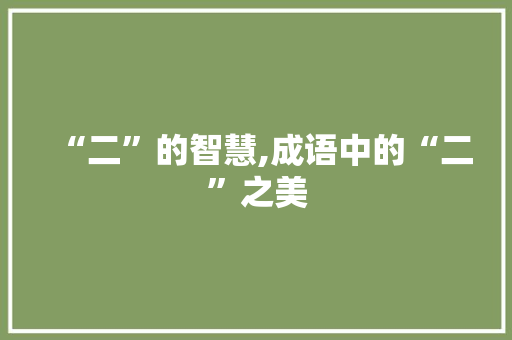 “二”的智慧,成语中的“二”之美