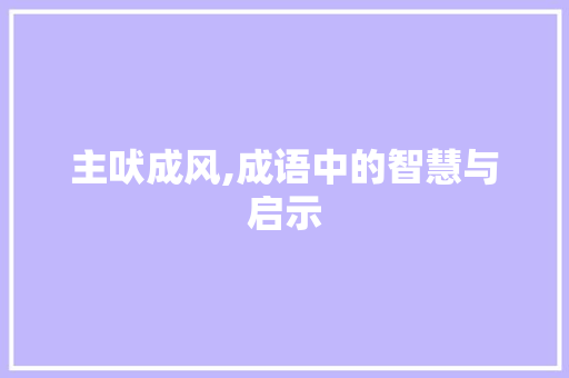 主吠成风,成语中的智慧与启示