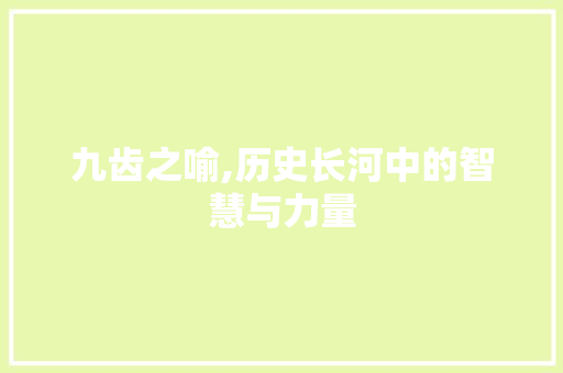 九齿之喻,历史长河中的智慧与力量