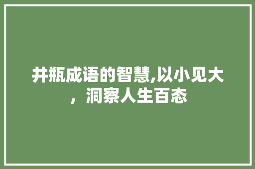 井瓶成语的智慧,以小见大，洞察人生百态