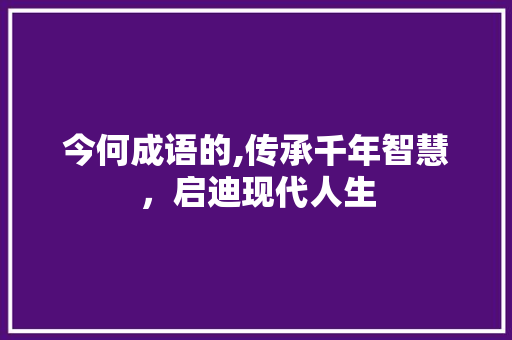 今何成语的,传承千年智慧，启迪现代人生