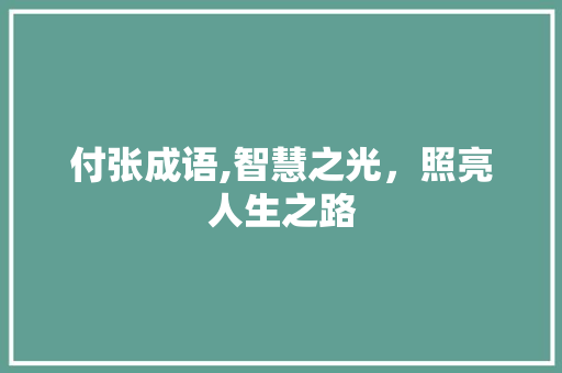 付张成语,智慧之光，照亮人生之路