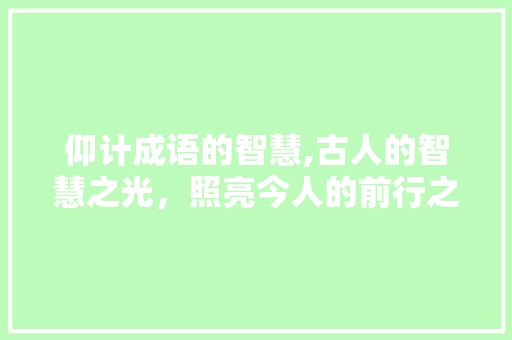 仰计成语的智慧,古人的智慧之光，照亮今人的前行之路