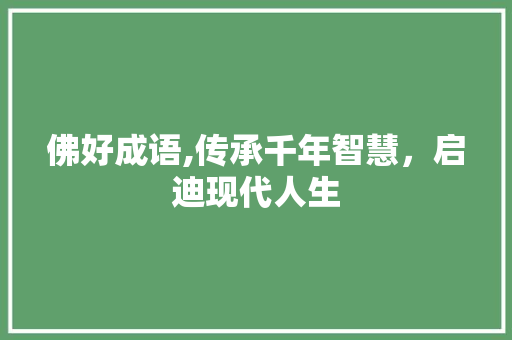 佛好成语,传承千年智慧，启迪现代人生