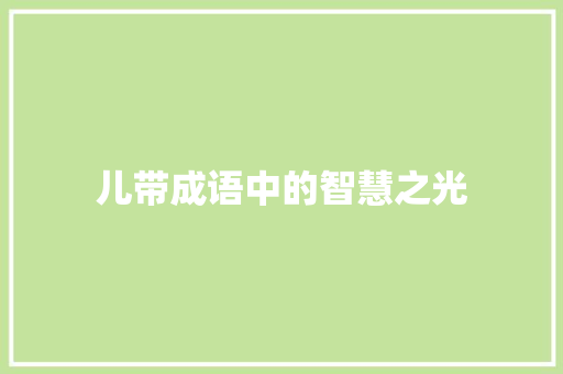 儿带成语中的智慧之光