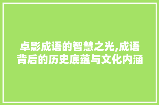 卓影成语的智慧之光,成语背后的历史底蕴与文化内涵