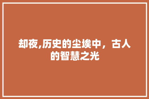 却夜,历史的尘埃中，古人的智慧之光