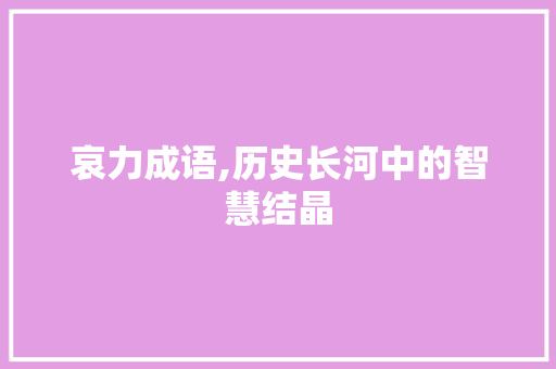 哀力成语,历史长河中的智慧结晶