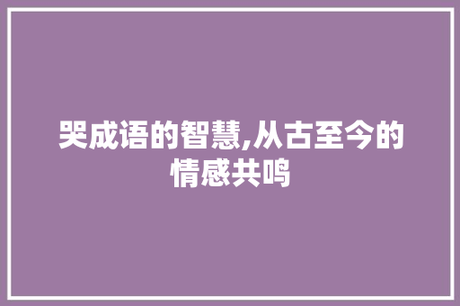 哭成语的智慧,从古至今的情感共鸣