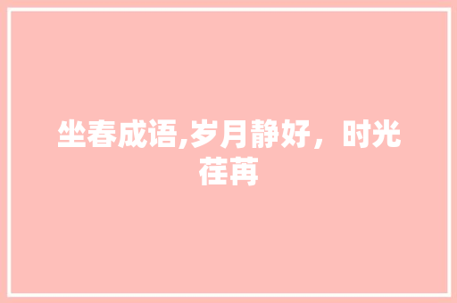 坐春成语,岁月静好，时光荏苒