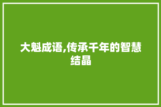 大魁成语,传承千年的智慧结晶
