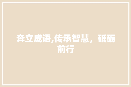 奔立成语,传承智慧，砥砺前行
