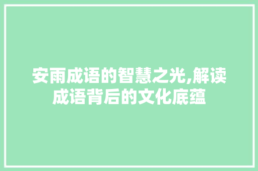 安雨成语的智慧之光,解读成语背后的文化底蕴