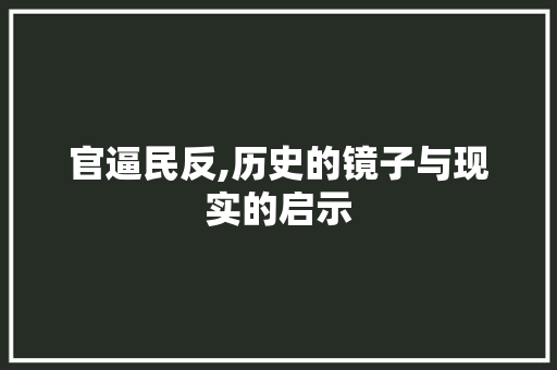 官逼民反,历史的镜子与现实的启示