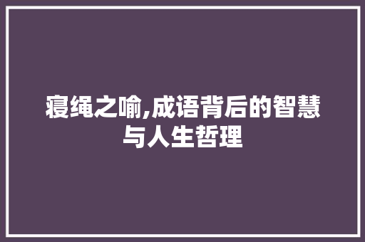 寝绳之喻,成语背后的智慧与人生哲理