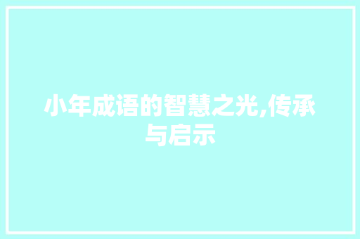 小年成语的智慧之光,传承与启示