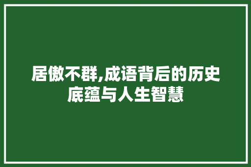 居傲不群,成语背后的历史底蕴与人生智慧