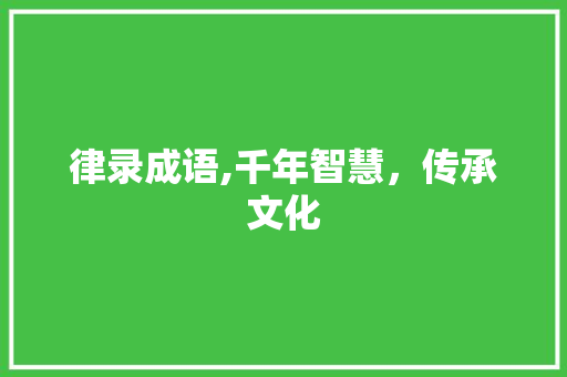 律录成语,千年智慧，传承文化