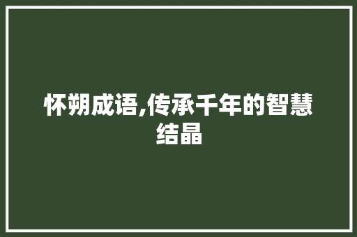 怀朔成语,传承千年的智慧结晶