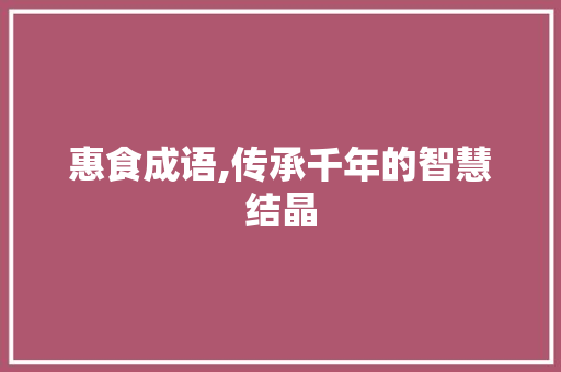 惠食成语,传承千年的智慧结晶