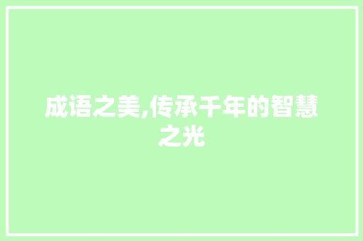 成语之美,传承千年的智慧之光
