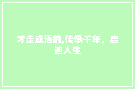 才走成语的,传承千年，启迪人生