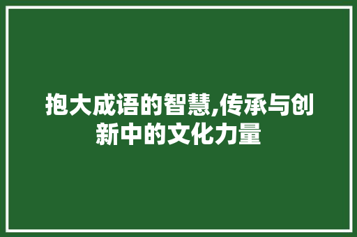 抱大成语的智慧,传承与创新中的文化力量