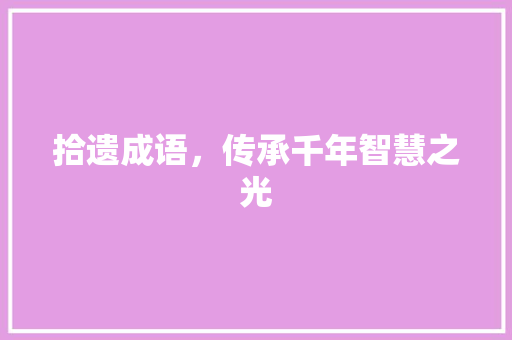 拾遗成语，传承千年智慧之光
