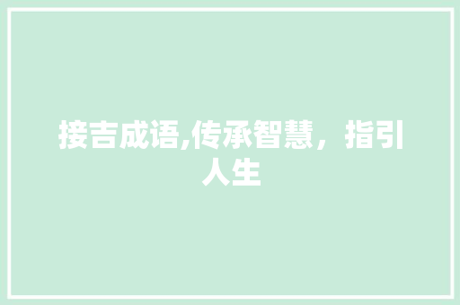接吉成语,传承智慧，指引人生
