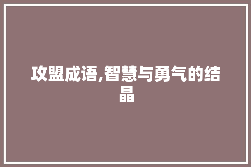 攻盟成语,智慧与勇气的结晶
